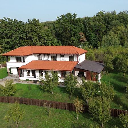 Pensiunea Emelys, Iasi Barnova Exterior photo