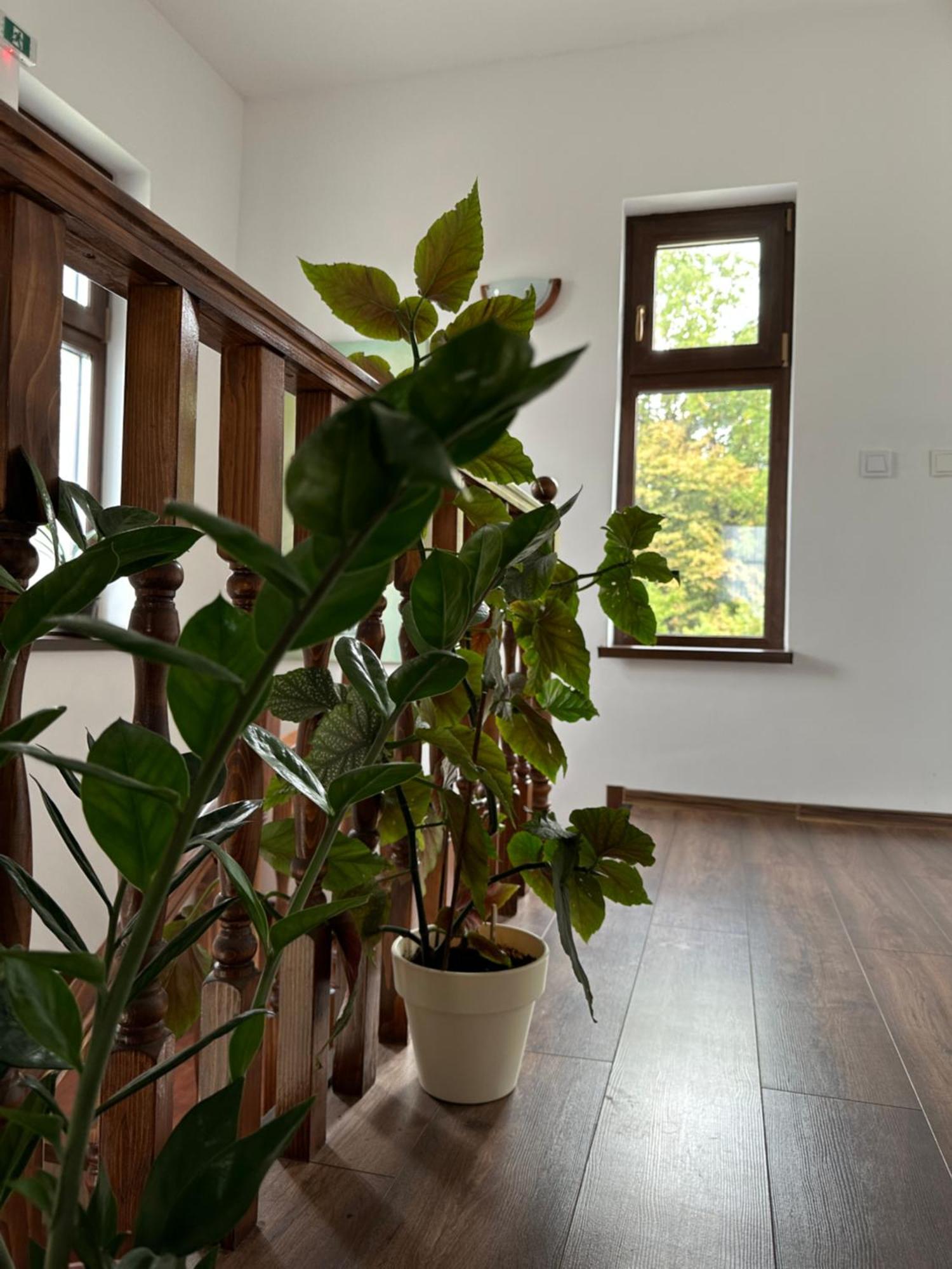 Pensiunea Emelys, Iasi Barnova Exterior photo