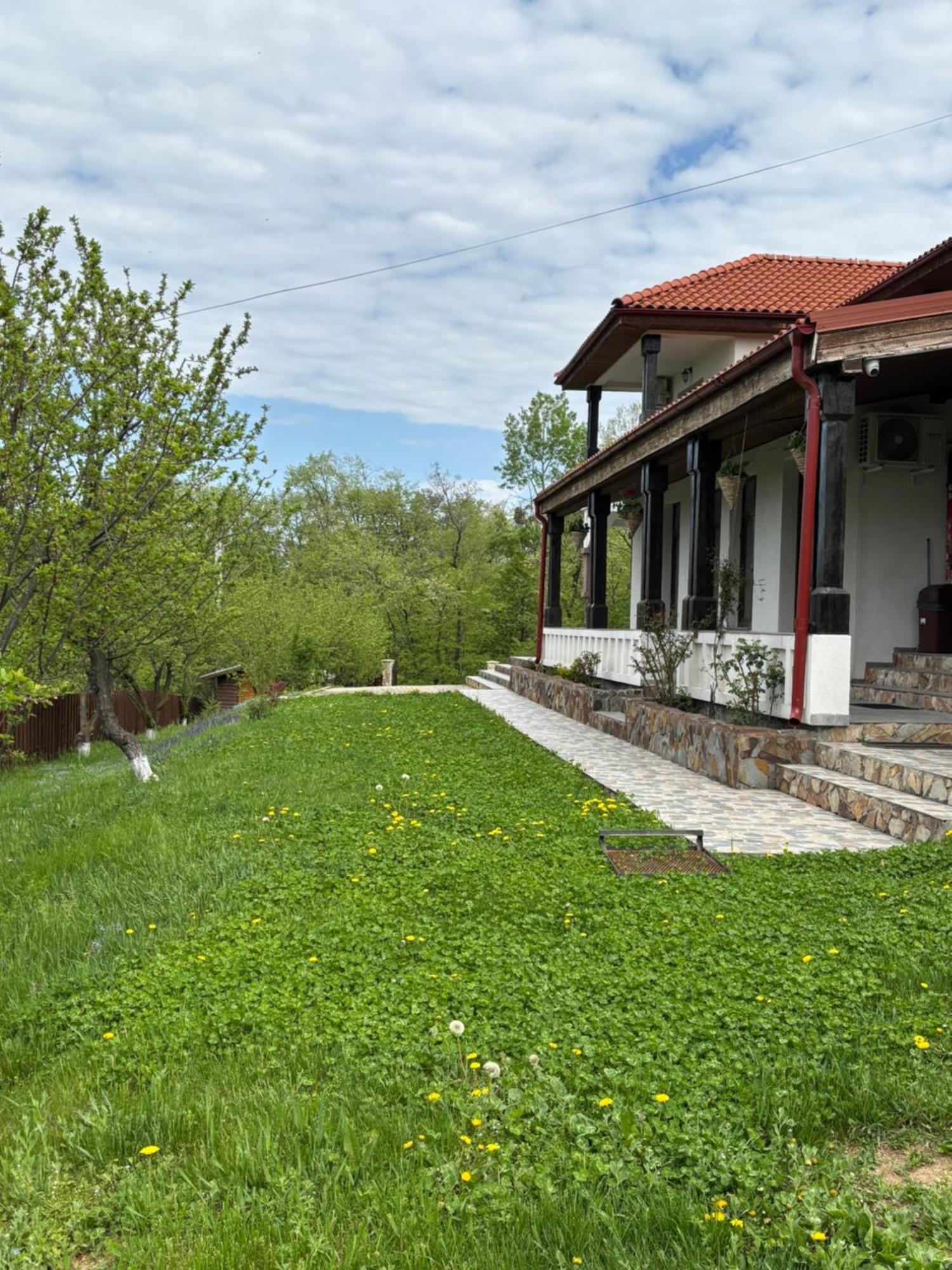 Pensiunea Emelys, Iasi Barnova Exterior photo